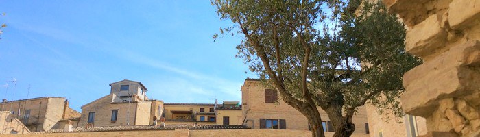 03_orto pensatori.jpg 03_orto pensatori.jpg