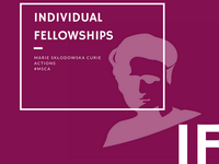 Travel grants for supporting Msca-If 2020 applications