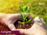 Innovazione nell'agroalimentare, al via il progetto Agri-Cult