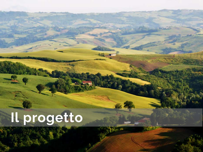 Image - Qual è il contributo delle Università allo sviluppo locale?